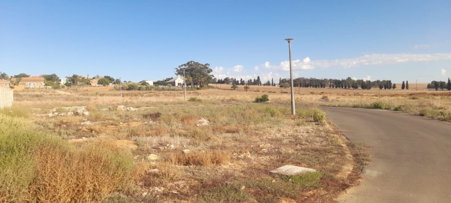  Bedroom Property for Sale in Moorreesburg Western Cape